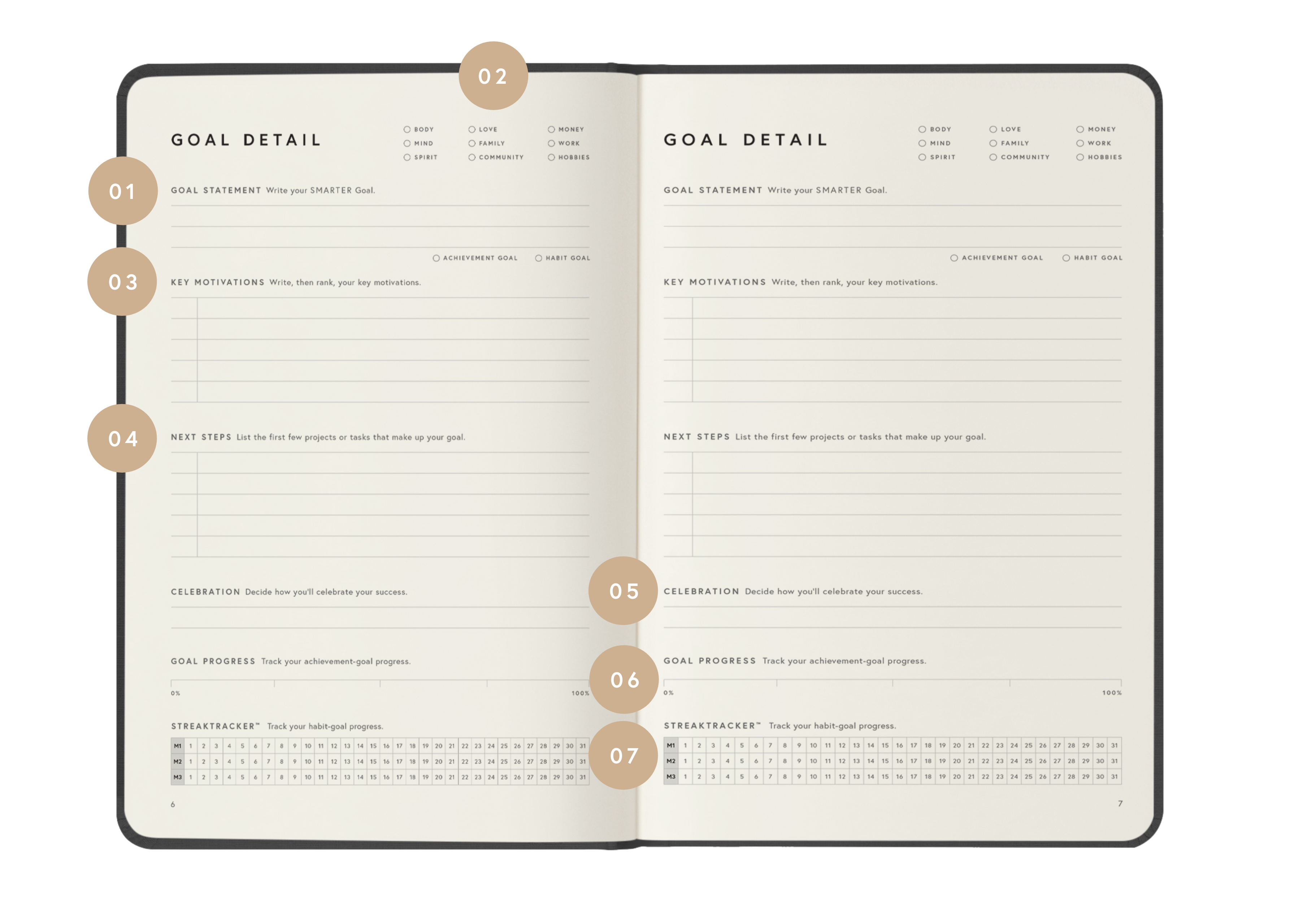 Full Focus Planner goal details pages