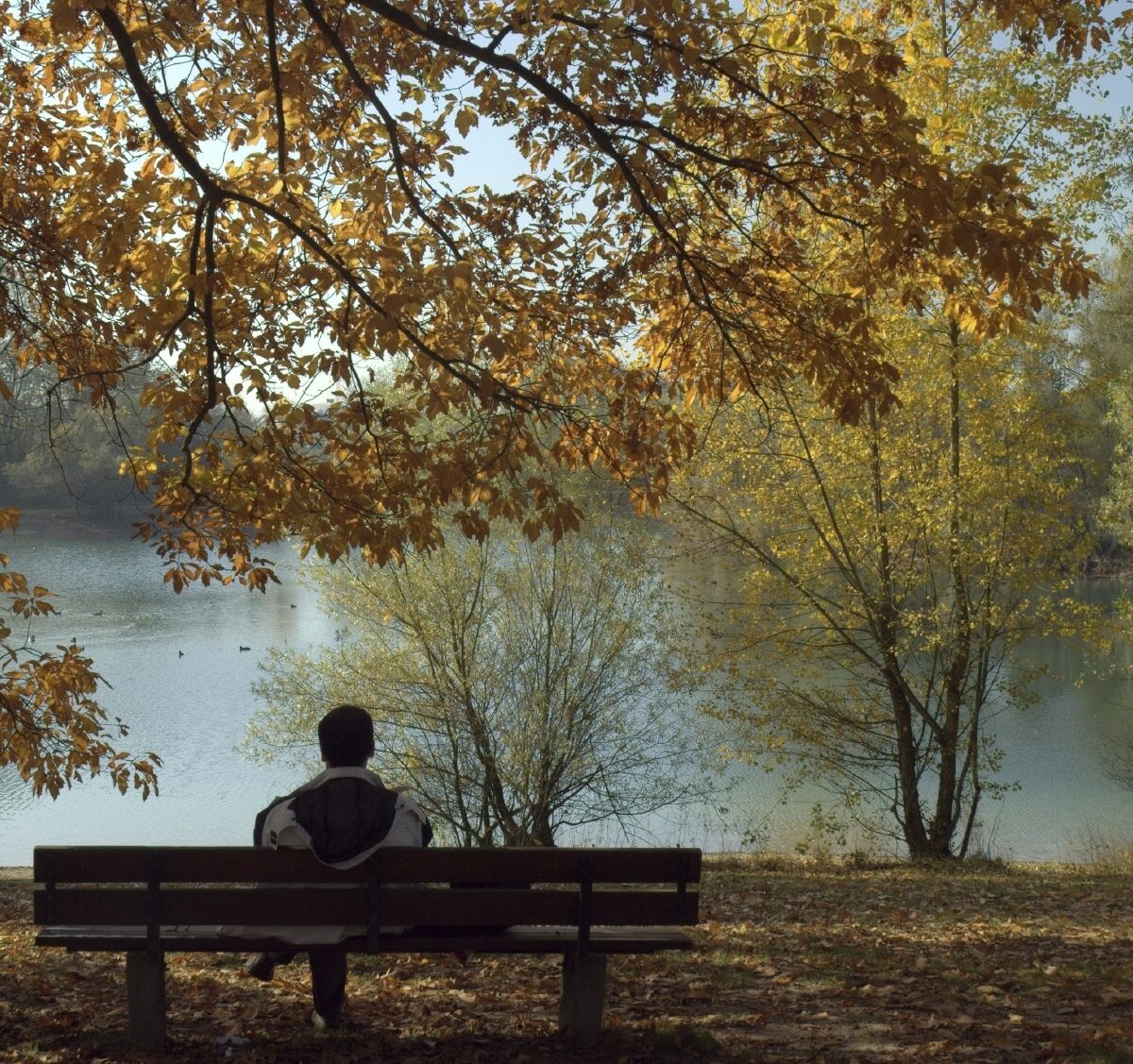 To Do or Not to Do, That Is the Question