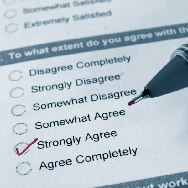 5 Insights from My Reader Survey and What They Mean for You