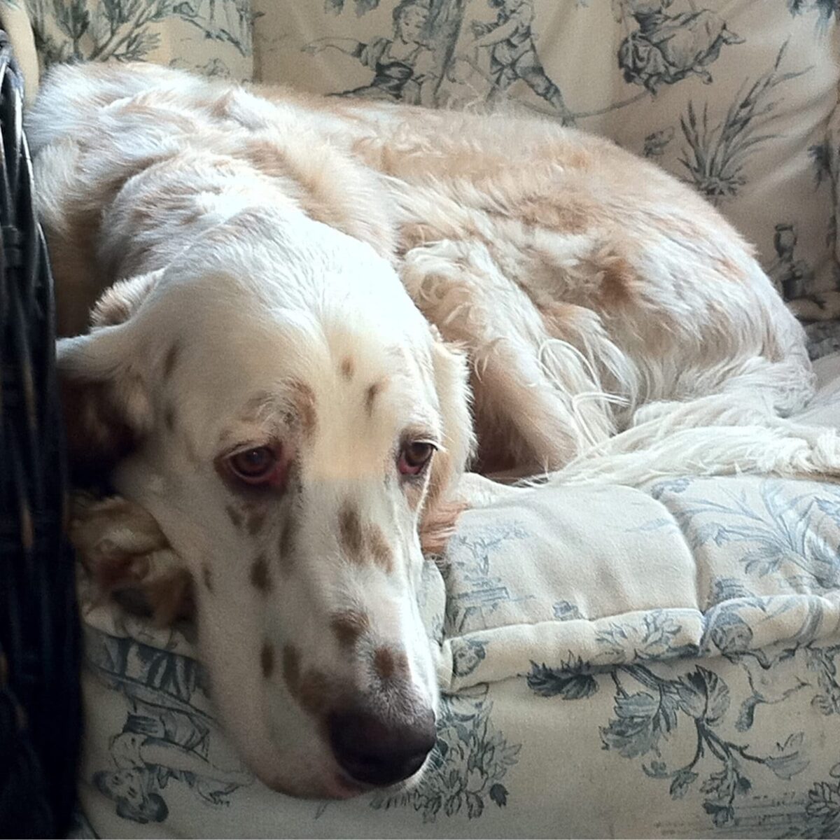 Are Your Beliefs Keeping You Stuck?