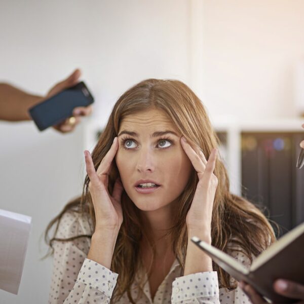 Camels vs. Stallions