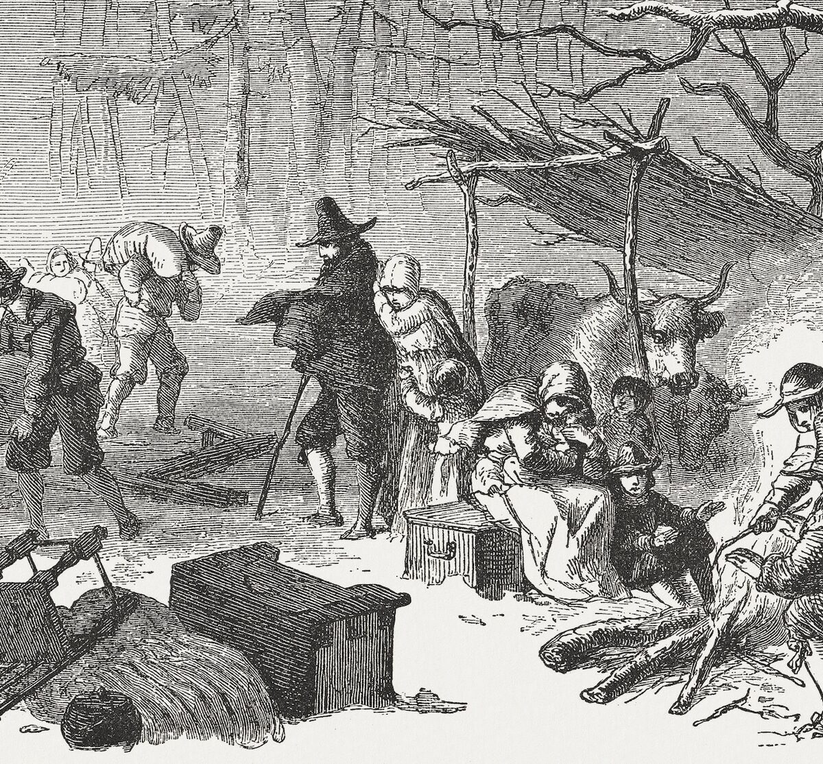 Pilgrims’ Progress: The Real Thanksgiving Story