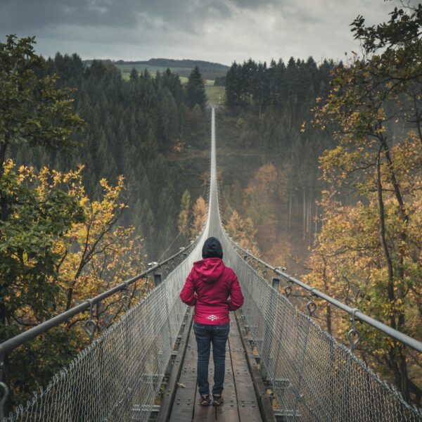 Learning to Embrace Risk